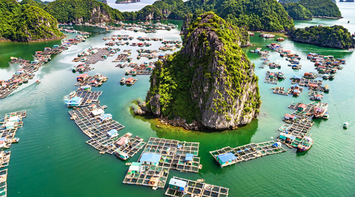 Cua Van Floating Village